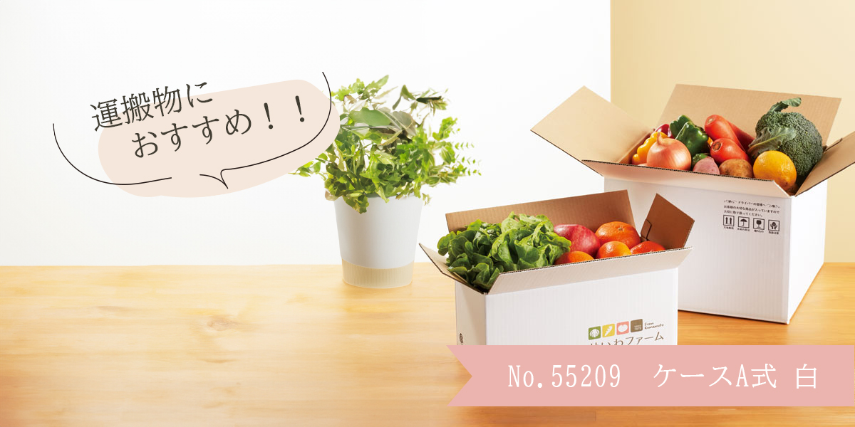 ����ܡ��� ���ꥸ�ʥ���� �ե륫�顼